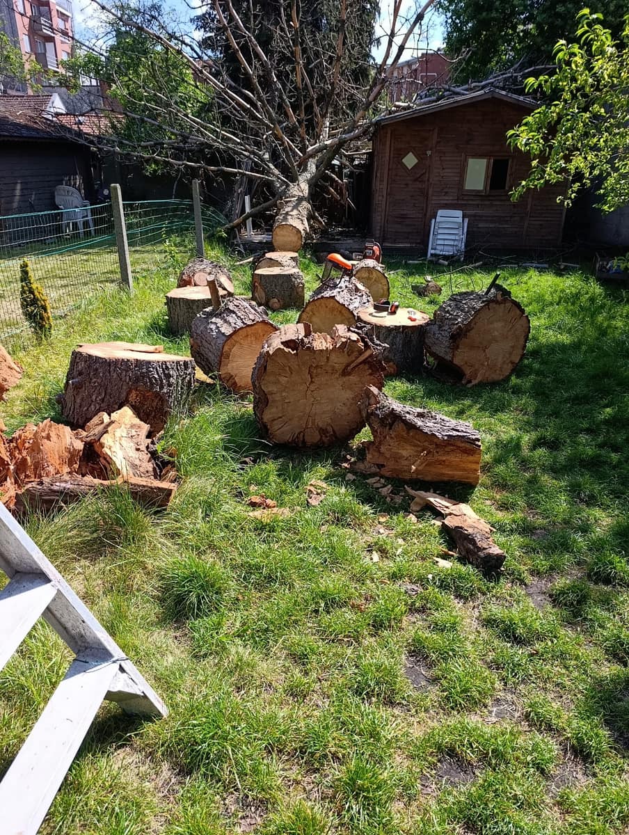 Vakwerk met bomen door EMR Tuinwerken met professioneel materiaal