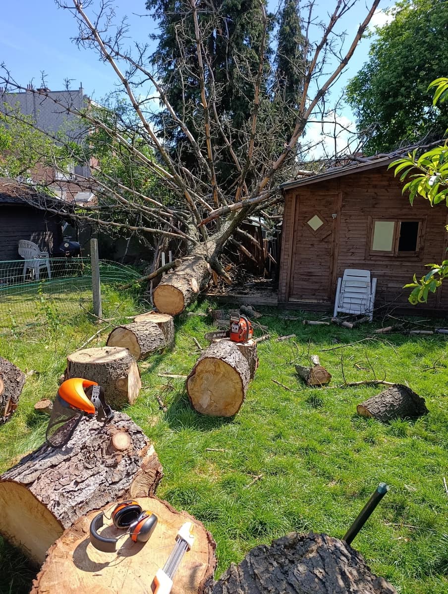 Vakwerk met bomen door EMR Tuinwerken met professioneel materiaal