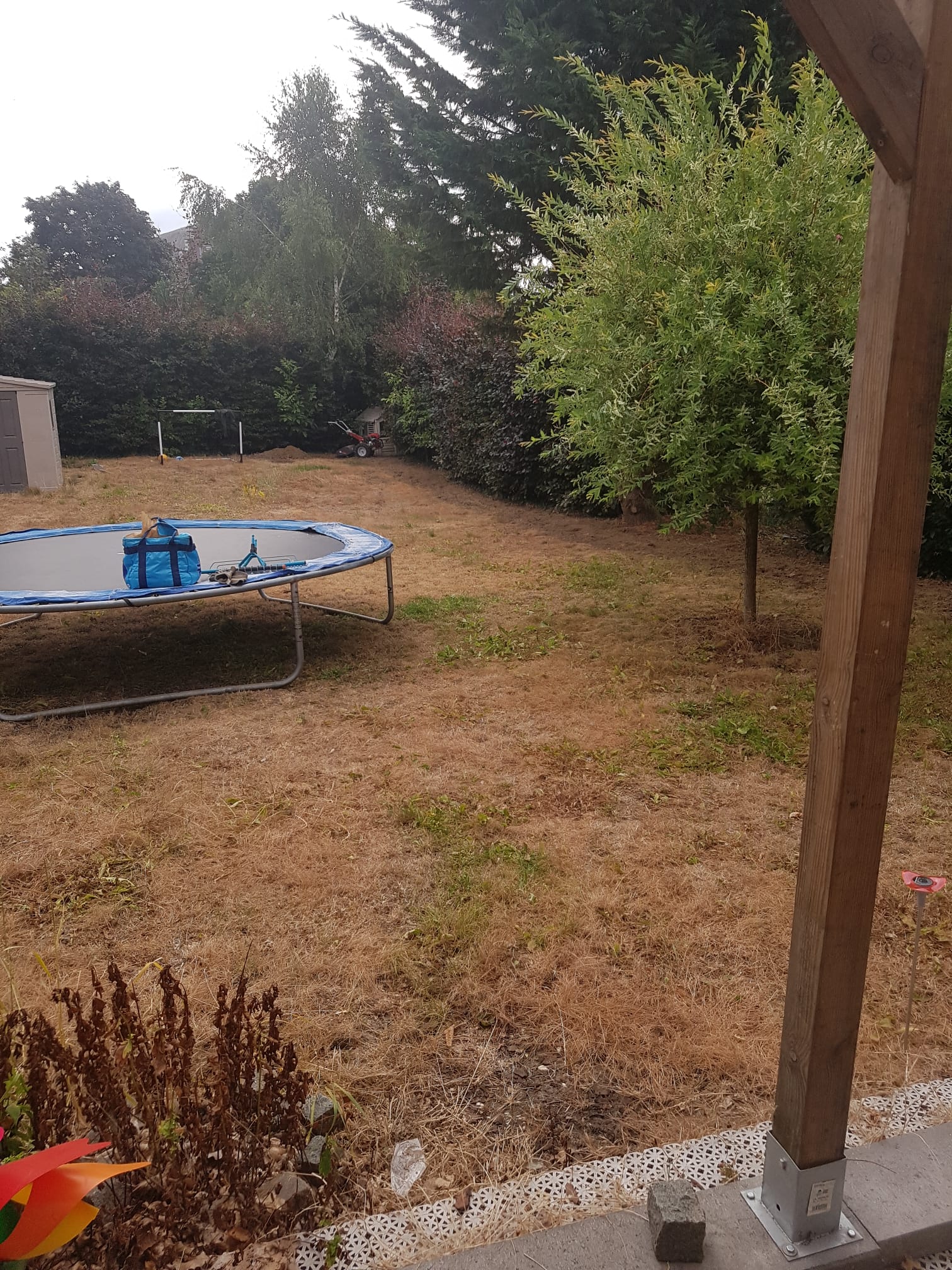 Gazonrenovatie door EMR Tuinwerken