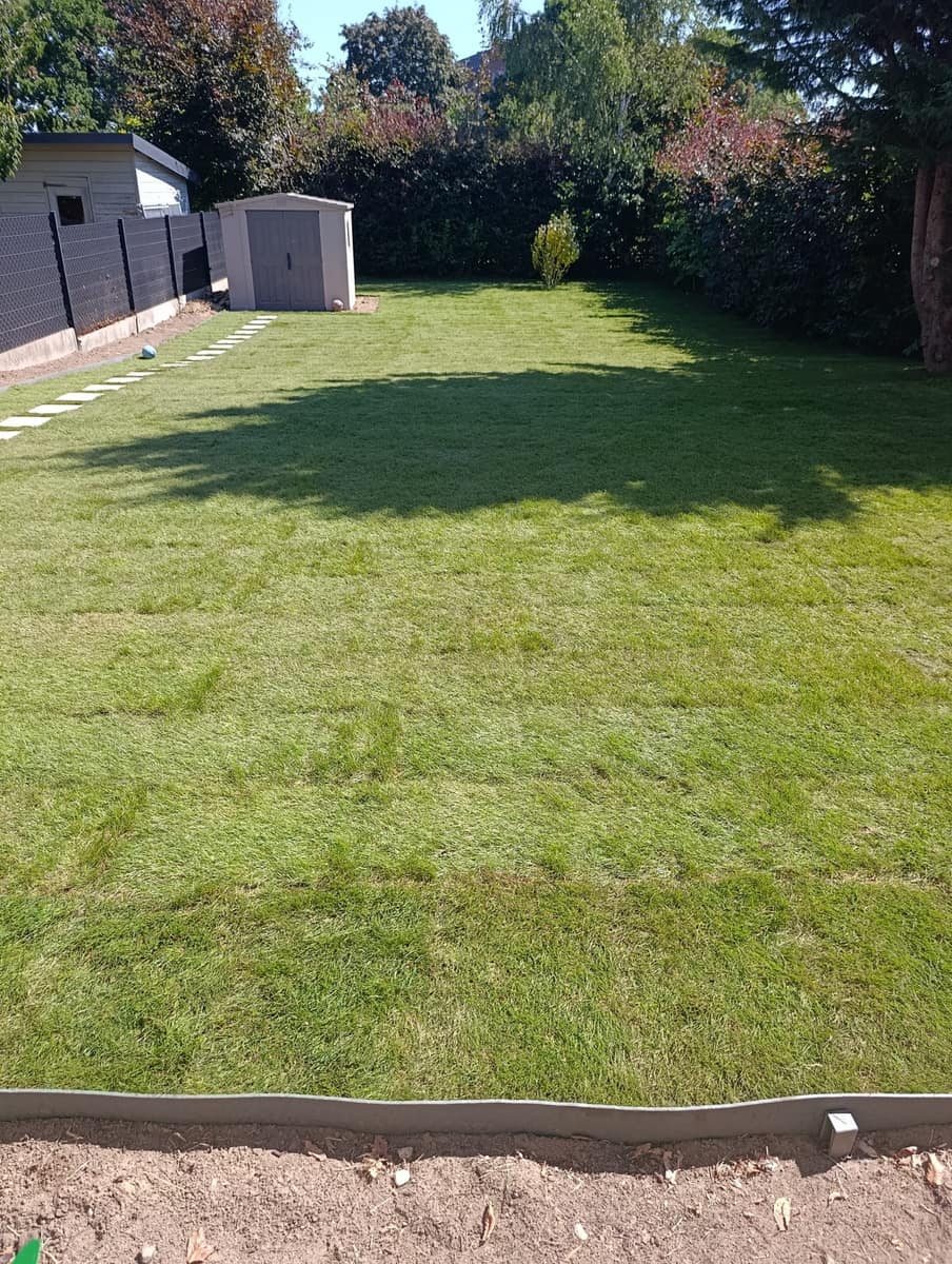 Verse grasmat met staptegels na tuinaanleg door EMR Tuinwerken