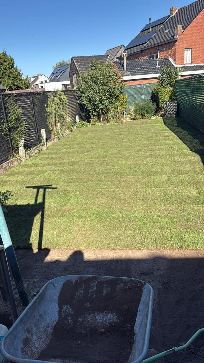 Verse grasmat na tuinaanleg door EMR Tuinwerken